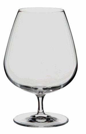 DARTINGTON CRYSTAL BAR ESSENTIALS BRANDY GLASSES